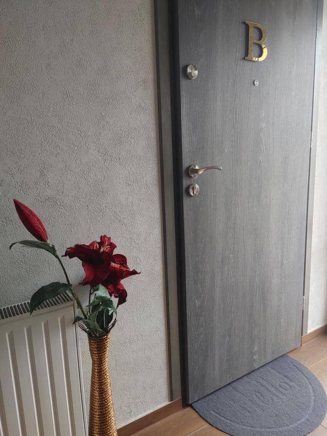 Apartamenty U Zofii Iława エクステリア 写真